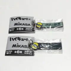 ハイキュー!! MIKASA ラバスト 烏野 伊達 310C T[Ａ]