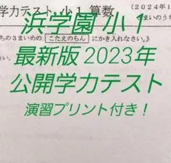 浜学園　小４　国語　８年分　2023年~2016年　公開学力テスト 浜学園 小4 8年分 2023年～2016年 公開学力テスト 3教科
