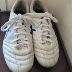 Item thumbnail for item a70a3047-5e6f-46ad-95c0-aae0e1a51888