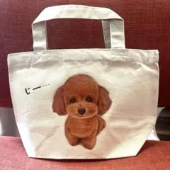 Item thumbnail for item fd1a41e8-b66c-4d4c-826b-95b403aec1ef