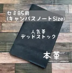 Item thumbnail for item ca30fd66-f094-46e9-9b6f-55247bb0b8cf