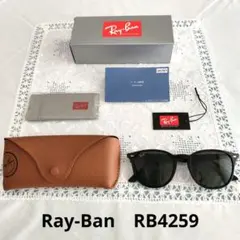 Ray-Ban　レイバン　サングラス　ブラック　RB4259F 601/71