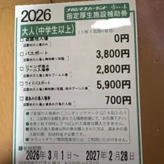 ナガシマスパーランド　ジャンボ海水プール　補助券　大人5枚のサムネイル