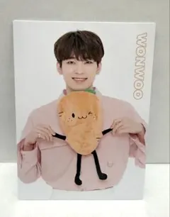 SEVENTEEN Happy Ending CARAT盤 トレカ ウォヌ - メルカリ