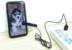 Item thumbnail for item d3c5be6c-b265-4b8c-8c5c-0a2dc6127a87