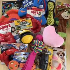 大型犬用玩具 ナーフドッグ KONG コングリックス リッチェル Tonka