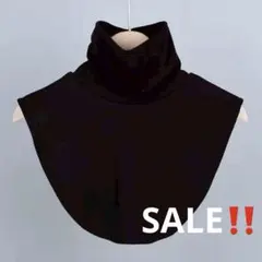 Item thumbnail for item 45172c2d-3fda-4111-9a3e-13d21511c35d