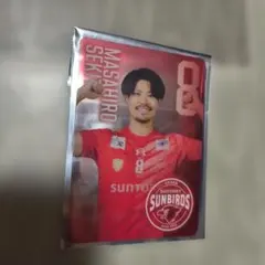 Item thumbnail for item 5a3c0fcd-5d1d-430e-bef3-98c767b09275