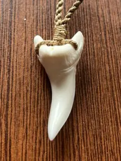 熊牙 熊歯 熊の牙 ツキノワグマ牙 ネックレス キーホルダー 新作新品