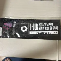 Tempest キーリング