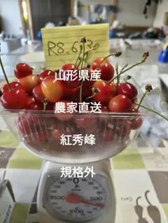 山形県産・農家直送・さくらんぼ【紅秀峰】訳あり500グラム・規格外のサムネイル