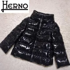 HERNO　グロッシーダウンジャケット　サイズ42　ブラック　ワイドシルエット