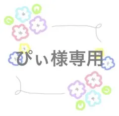 ぴぃ様専用