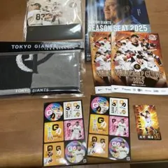 東京ジャイアンツ シーズンシート2025セット