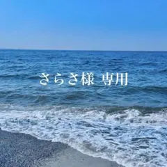 さらさ様 リクエスト 2点 まとめ商品