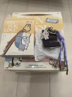 【正規品】POP MART イニシャルラブブ