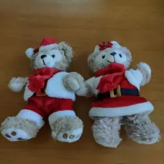 ダッフィーとシェリーメイのぬいぐるみバッチ2個セット