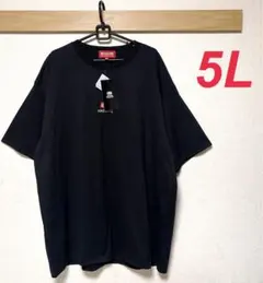 新品　エコーアンリミテッド　メンズ　バックロゴプリントTシャツ　ブラック　5L