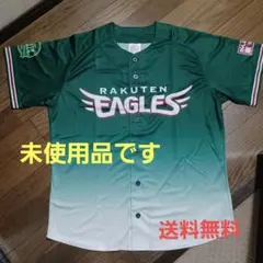 Item thumbnail for item 5e6791d7-996b-4c70-aebd-fb4882787e23