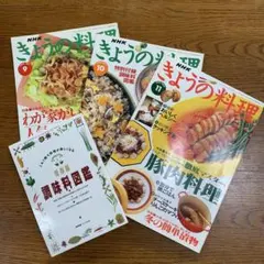 NHK きょうの料理 平成７年　9月号10月号11月号　調味料図鑑付き3冊セット