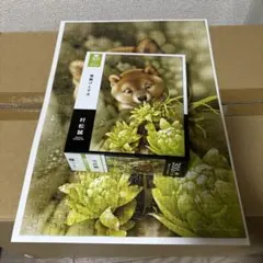 Item thumbnail for item 50a59d0e-99a8-4e95-a23a-7e02c3750bd3