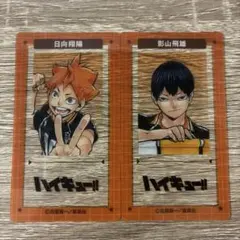 ハイキュー クリアSLIMカードコレクション 日向翔陽 影山飛雄