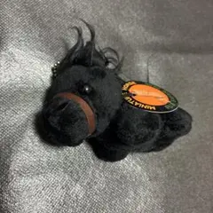 ミニチュアホース　富士サファリパークお土産品⭐︎