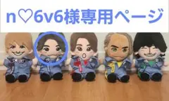 【n♡6v6様専用ページ】