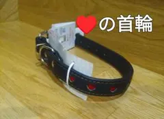 Petio BLハーティ平首輪21 ブラック 小型犬用のサムネイル