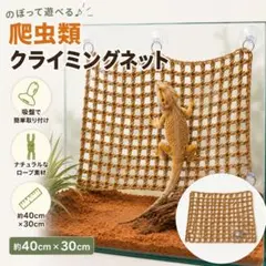 815 爬虫類 クライミングネット 40×30cm 吸盤固定 ケージのサムネイル