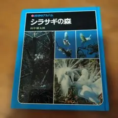 科学のアルバム シラサギの森 あかね書房