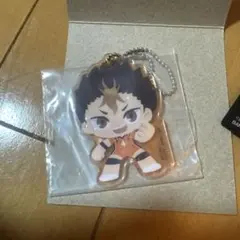 ハイキュー!! 烏野高校 アクリルキーホルダー