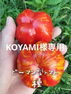 KOYAMI様様専用