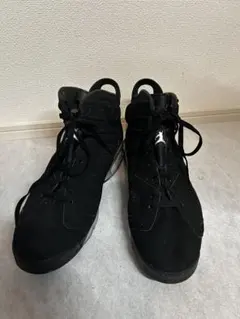 【36cm・超特大】Nike Air Jordan 6 メタリックシルバー