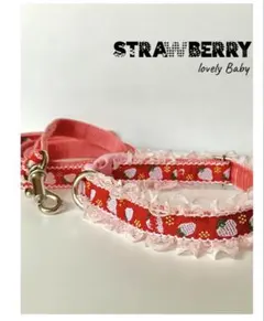 ＊小型犬用　首輪＊15mm