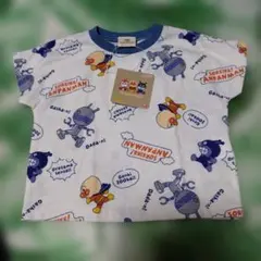 Item thumbnail for item 39f2411d-3d07-4f23-a0e5-cd4dab4d6995