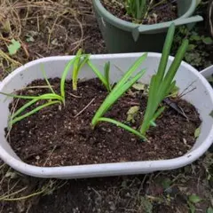 ananas様 リクエスト 2点 まとめ商品