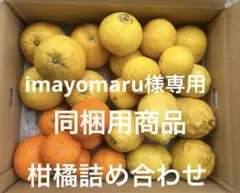 imayomaru様専用 柑橘詰め合わせ　箱込み6キロ 訳あり