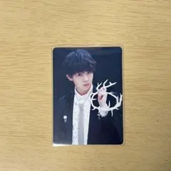 有岡大貴 トレカ