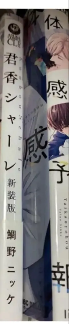 体感予報　鯛野ニッケ　bl