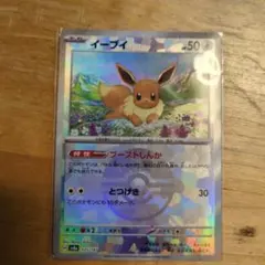 ゆずしお【プロフにお値引き情報公開中】様 リクエスト 2点 まとめ商品