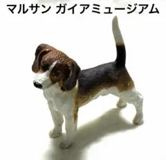 マルサン ガイアミュージアム ビーグル犬のサムネイル
