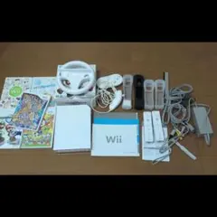 Wii本体　ゲームソフトセット　任天堂　Wii