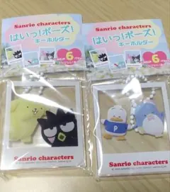 Sanrioキャラクター はい！ポーズ！キーホルダー らくらくメルカリ便発送
