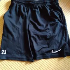 Item thumbnail for item 9d1eeb88-210b-41c0-ac65-853b9aee5602