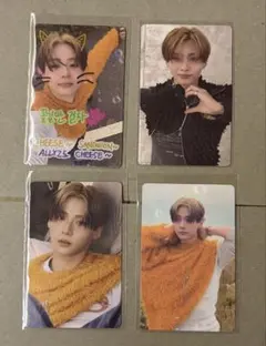 ALD1 サンウォン MD ランダムトレカ