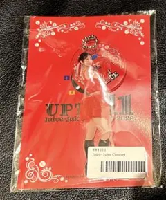 Juice=Juice 松永里愛 アクリルスタンドキーホルダー 盛れ！ミポーズ