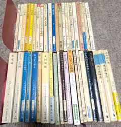 【 海外文学 まとめ売り 2】ゲーテ ニーチェ ヘミングウェイ 他　バラ売り可