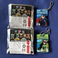 ヒロアカ パッケージ風キーチェーンコレクション 轟焦凍 蛙吹梅雨