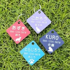 Item thumbnail for item 2df8a6e4-597a-46c1-a25f-a12f291e7f96